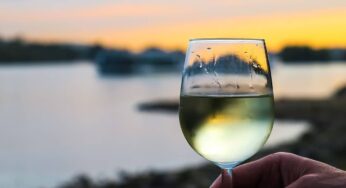 Best Ligurian Wines and Food Pairings