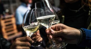 Best Wines in Italy by Region (pt 1): Northern Italy