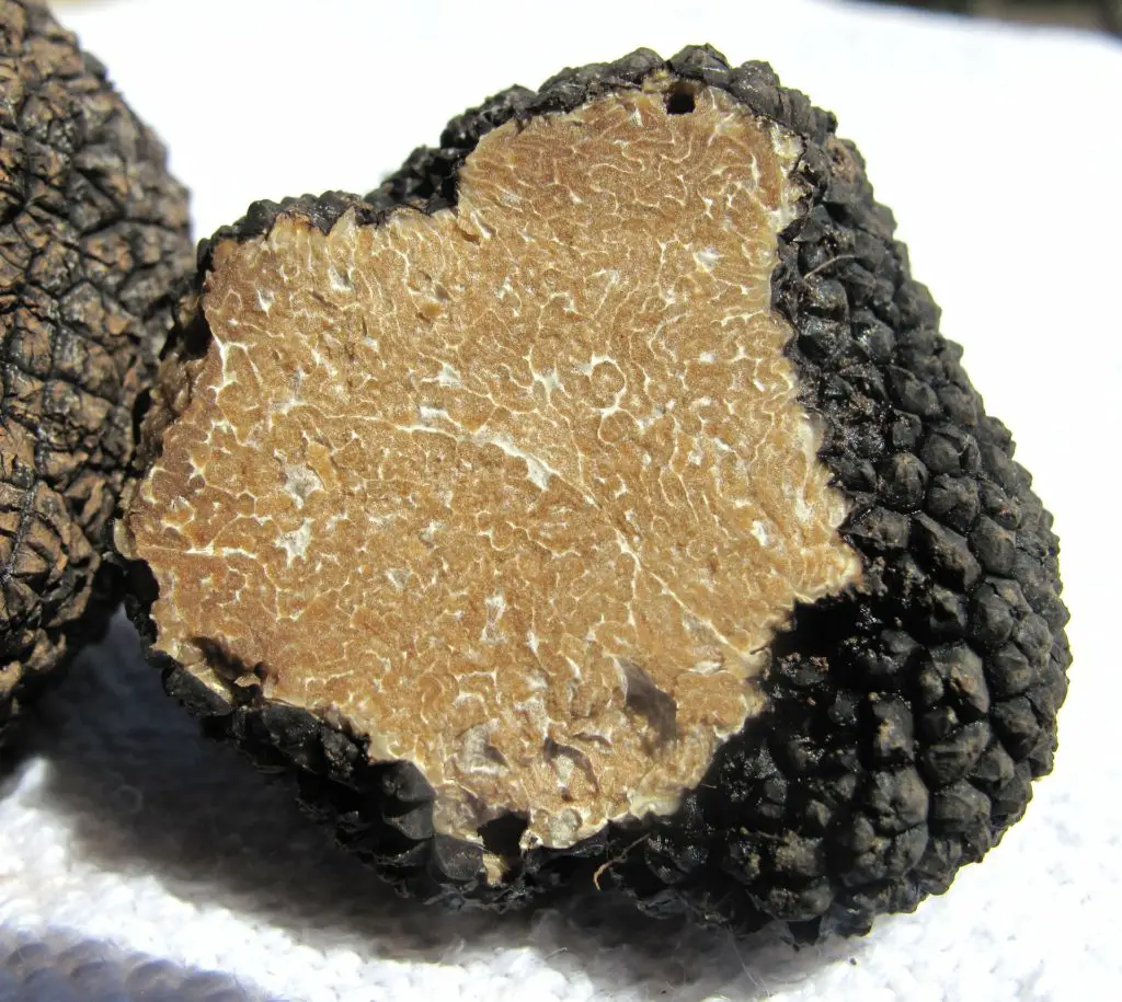 black truffle