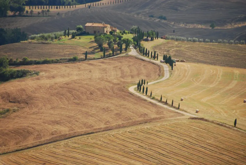 Val d'Orcia San Quirico Cypresses