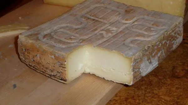 Taleggio Brescia cheese
