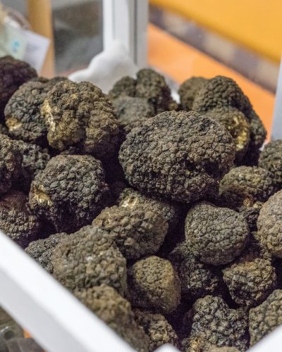 truffle hunting italy